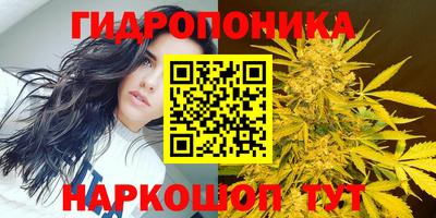 амф Пыть-Ях